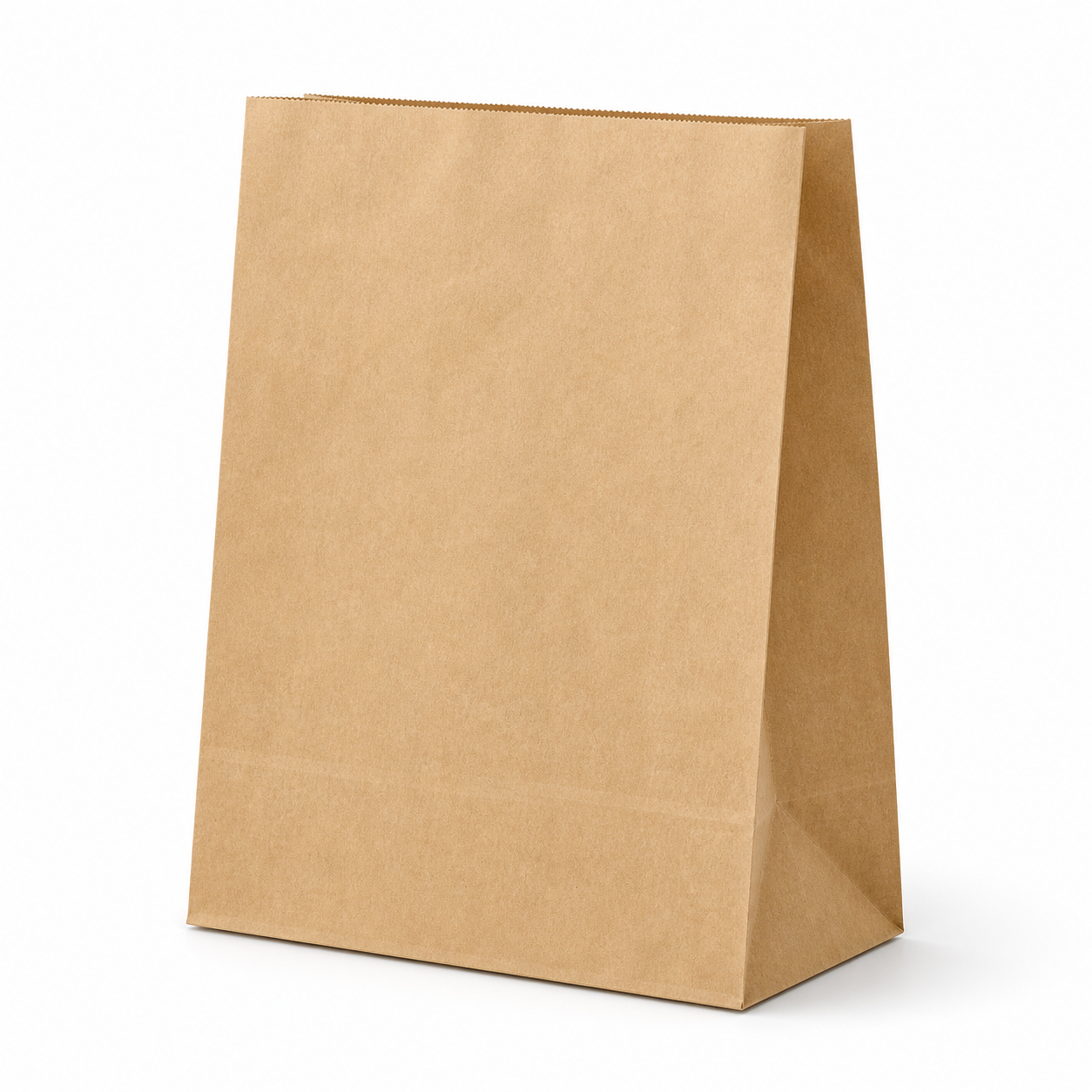 Large Kraft Paper Bag (#1)
