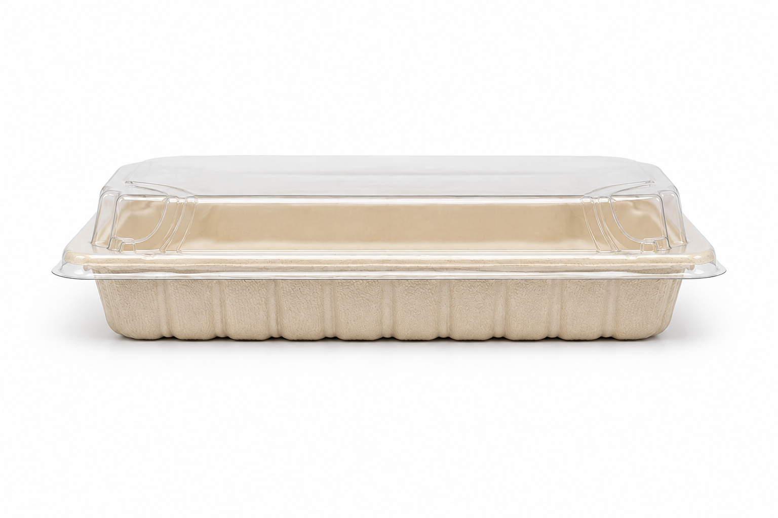 Sushi Container with Lid (#3)